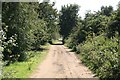 Hot afternoon down the lane