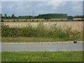 Countryside towards Rougham