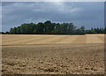 Field near Maypole Green