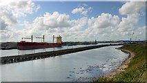 NZ3182 : River Blyth from North Blyth by Andrew Curtis