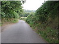 Country road north to Strood Farm