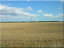 TA0548 : Farmland, Watton Carrs by JThomas