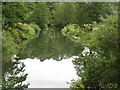 Reflections on the River Rother