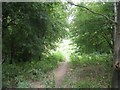 Railway cutting - South Parade