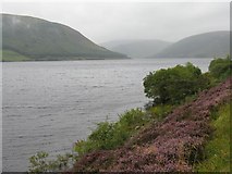 NT2523 : St Mary's Loch by M J Richardson