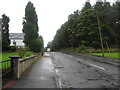 Road entering Braidwood near the pond