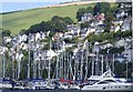 Kingswear from the River Dart.