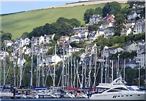 SX8851 : Kingswear from the River Dart. by David Lewis
