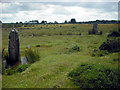 Standing stones and circle at Gors Fawr