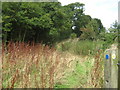 Bridleway to Longbeech Wood