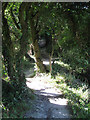 Footpath up Limekiln Scarp