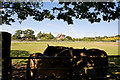 Fields west of Crabbswood Lane