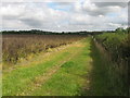 SU1691 : Field edge, near Lower Burytown Farm by Gareth James