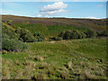 Glen of the Allt Duisdale