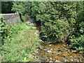 Hoaroak Water from Hillsford Bridge