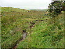 SS7641 : The young River Exe near its source by Ruth Sharville