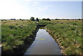 Stream from the Saxon Shore Way