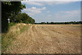 Farmland near Felsham