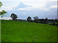 Ballynaris Townland