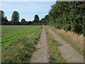 Farm lane near Wilmington Farm