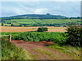 View to May Hill; August 2009 2