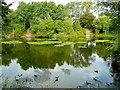 Fishing lake at Rotherwas