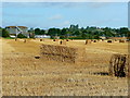 Harvested field at Rotherwas