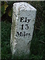 TL3573 : Ely 13 Miles by Keith Evans