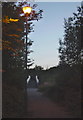 Lamplit Footpath to the Footbridge