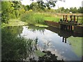 River Colne at Alderford Mill