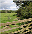 Fields near Rhyderwen Farm