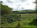 Fields above Cefn-grugos fach