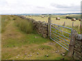 NY8855 : Boundary between moor and farmland at Burntridgemoor by Andy Parrett