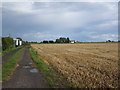 Allotment track along side the stubble