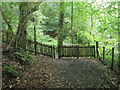 Fence within Lydebrook Dingle