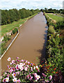 The view eastwards from Minshull Lock