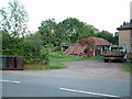 Tumbledown shed with chickens