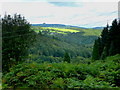 View to May Hill from Edge Hill