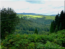SO6615 : View to May Hill from Edge Hill by Jonathan Billinger