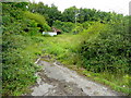 Shack next to the old Portishead railway line