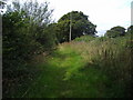 Lonely Telegraph Pole