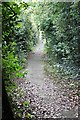 Footpath from Russell Drive to Pickersleigh Avenue