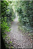 SO7847 : Footpath from Russell Drive to Pickersleigh Avenue by Bob Embleton