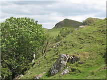 NY6766 : Crags and woodland below Hadrian's Wall near Walltown by Mike Quinn