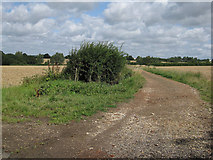 TL6852 : Footpath to East Green by Hugh Venables