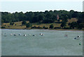 Freston tower from Orwell Bridge