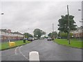 Currer Avenue - viewed from Hambledon Avenue