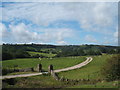 SK0766 : Gateposts and track to Hollins Farm, near Hollinsclough by Peter Barr