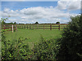 Horse paddocks at East Green