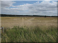 Footpath to Suffolk